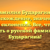 Фамилия Бударагина: происхождение, значение и история склонения. Все, что нужно знать о русской фамилии Бударагина!