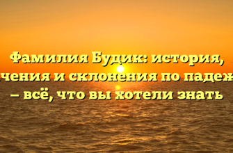 Фамилия Будик: история, значения и склонения по падежам — всё, что вы хотели знать