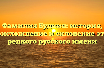 Фамилия Будкин: история, происхождение и склонение этого редкого русского имени