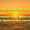 Фамилия Будяков: все, что нужно знать о происхождении, истории и значении этой фамилии, а также правильное склонение