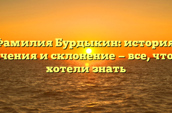 Фамилия Бурдыкин: история, значения и склонение — все, что вы хотели знать
