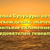 Фамилия Бучукури: история происхождения, значение и правильное склонение для исследователей генеалогии