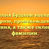 Фамилия Бушнев: исследуем историю, происхождение и значения, а также склонение фамилии