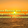 Фамилия Валид: все, что нужно знать о происхождении, истории, значении и склонении