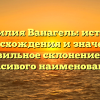 Фамилия Ванагель: история происхождения и значения, правильное склонение для красивого наименования