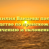Фамилия Ванцева: полное руководство по происхождению, значению и склонению!