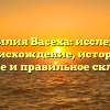 Фамилия Васеха: исследуем происхождение, историю, значение и правильное склонение!