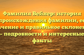 Фамилия Вейнер: история происхождения фамилии, ее значение и правильное склонение – подробности и интересные факты
