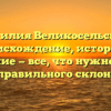 Фамилия Великосельский: происхождение, история и значение — все, что нужно знать для правильного склонения