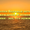 Фамилия Виданья: история, происхождение и особенности склонения – все, что нужно знать