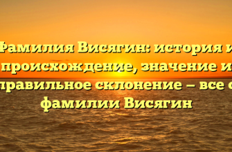 Фамилия Висягин: история и происхождение, значение и правильное склонение — все о фамилии Висягин