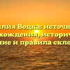 Фамилия Водка: источник ее происхождения, историческое значение и правила склонения