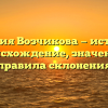 Фамилия Возчикова — история и происхождение, значение и правила склонения