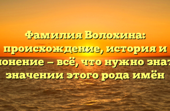 Фамилия Волохина: происхождение, история и склонение — всё, что нужно знать о значении этого рода имён