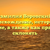 Фамилия Воровский: происхождение, история и значение, а также как правильно склонять