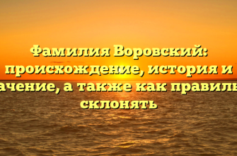 Фамилия Воровский: происхождение, история и значение, а также как правильно склонять