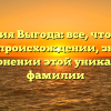 Фамилия Выгода: все, что нужно знать о происхождении, значении и склонении этой уникальной фамилии