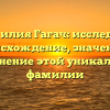 Фамилия Гагач: исследуем происхождение, значение и склонение этой уникальной фамилии