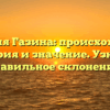 Фамилия Газина: происхождение, история и значение. Узнайте правильное склонение!