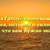 Фамилия Галий: происхождение и значения, история и склонение – всё, что вам нужно знать!