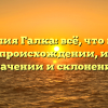 Фамилия Галка: всё, что нужно знать о происхождении, истории, значении и склонении