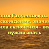 Фамилия Галченков: история происхождения, значение и правила склонения – все, что нужно знать