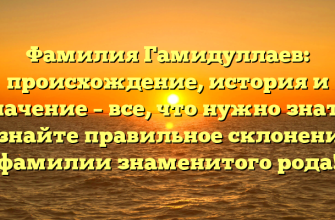 Фамилия Гамидуллаев: происхождение, история и значение – все, что нужно знать. Узнайте правильное склонение фамилии знаменитого рода!