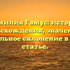 Фамилия Гамус: история происхождения, значение и правильное склонение в одной статье.