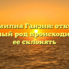 Фамилия Ганзин: откуда известный род происходит и как ее склонять