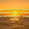 Фамилия Гаос: тайны происхождения и значения + правила склонения — подробный обзор