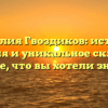 Фамилия Гвоздиков: история, значения и уникальное склонение — все, что вы хотели знать