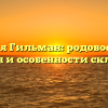 Фамилия Гильман: родовое дерево, история и особенности склонения