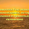 Фамилия Год: знание происхождения, истории, значения и правильного склонения