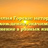 Фамилия Горски: история и происхождение, значимость и склонение в разных языках