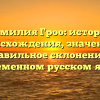 Фамилия Гроо: история происхождения, значение и правильное склонение в современном русском языке
