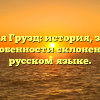 Фамилия Грузд: история, значение и особенности склонения в русском языке.