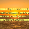 Фамилия Гугалинский: все о происхождении, истории и значении этой фамилии в контексте склонения.