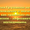 Фамилия Гугушвили: история, происхождение и значения, а также как правильно склонять фамилию — инфопакет для исследования.