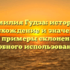Фамилия Гудза: история, происхождение и значение, а также примеры склонения для удобного использования