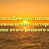 Фамилия Демчук: исследуем происхождение, историю и значение этого редкого имени