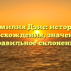 Фамилия Дзис: история происхождения, значение и правильное склонение