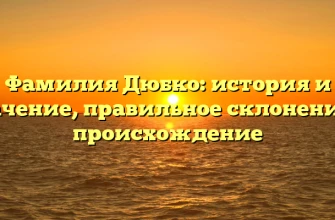 Фамилия Дюбко: история и значение, правильное склонение и происхождение Фамилия Дюбко: история и значение, правильное склонение и происхождение