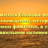 Фамилия Еликова: всё о происхождении, истории и значении фамилии, а также правильном склонении