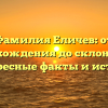 Фамилия Еличев: от происхождения до склонения — интересные факты и история