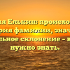 Фамилия Елькин: происхождение и история фамилии, значение и правильное склонение – все, что нужно знать.