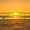 Фамилия Ерашов: исторические сведения, происхождение и значение, особенности склонения