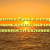 Фамилия Ероха: история происхождения, значение и особенности склонения