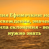 Фамилия Ефимочкин: история происхождения, значения и правила склонения – все, что нужно знать