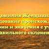 Фамилия Желдыбин: исследование происхождения, истории и значения с учетом правильного склонения