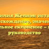 Фамилия Желнов: история, происхождение, значение и правильное склонение — полное руководство